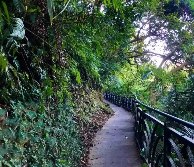 和美山步道距離