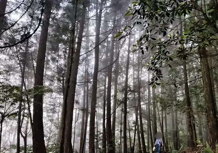 橫嶺步道交通