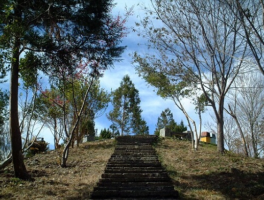 清境農場步道