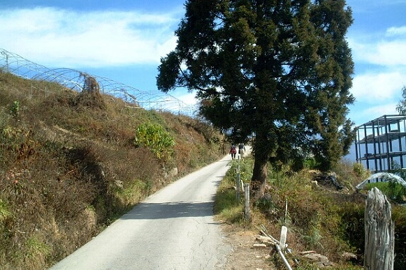 清境農場步道