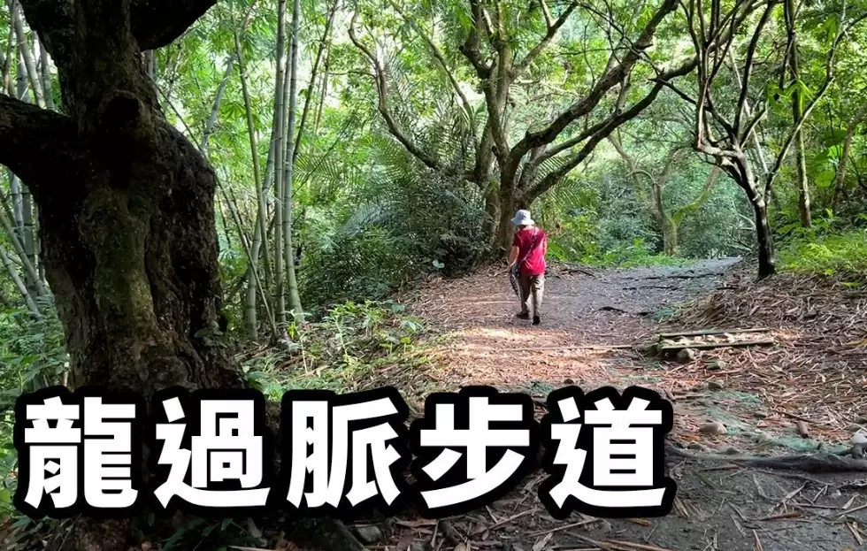 龍過脈森林步道地圖