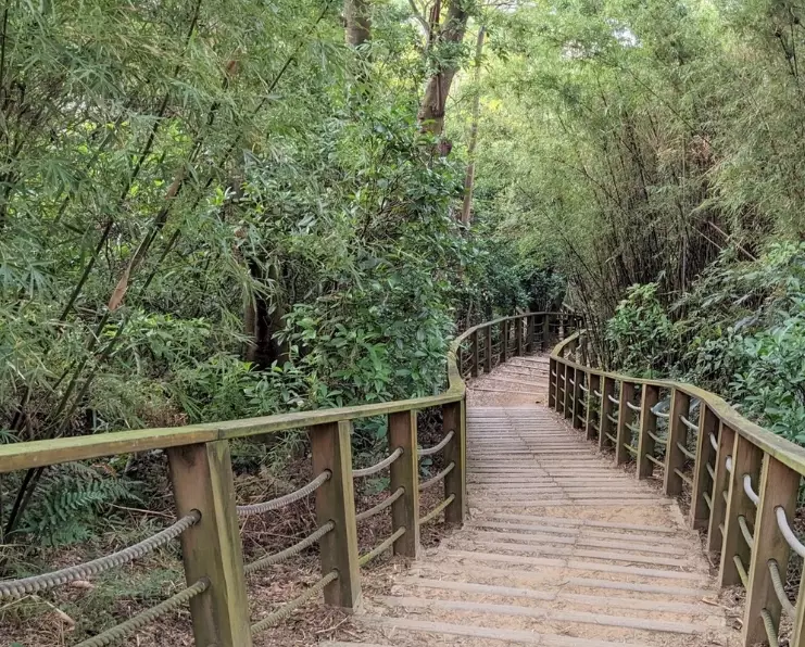 羊稠坑步道