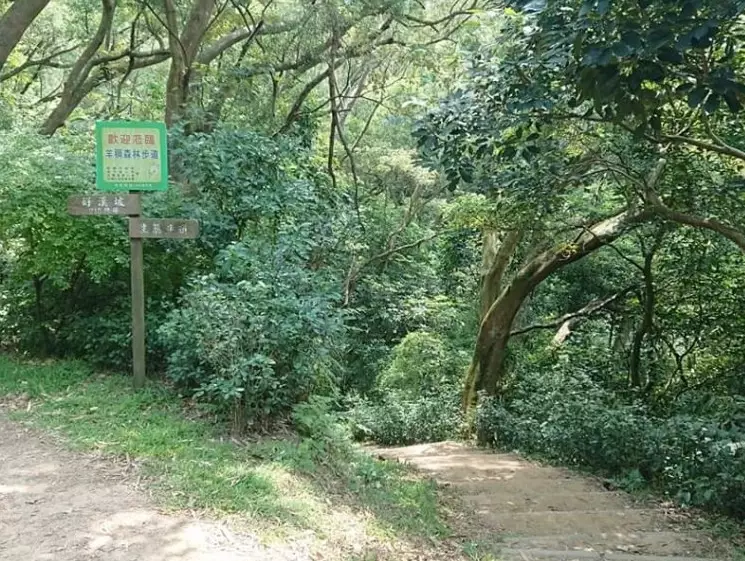 桃園健行步道