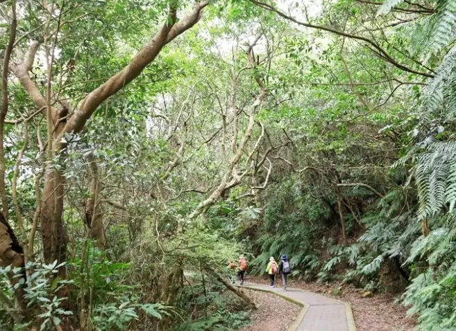 翠山步道怎麼去