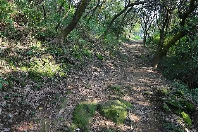台北登山替代路線
