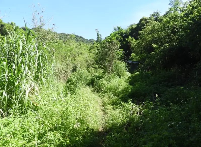 台東登山秘境