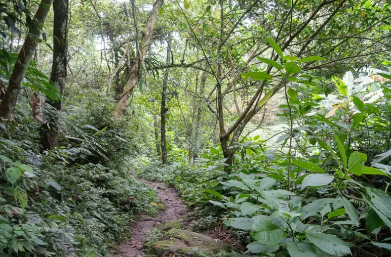 桃源谷步道