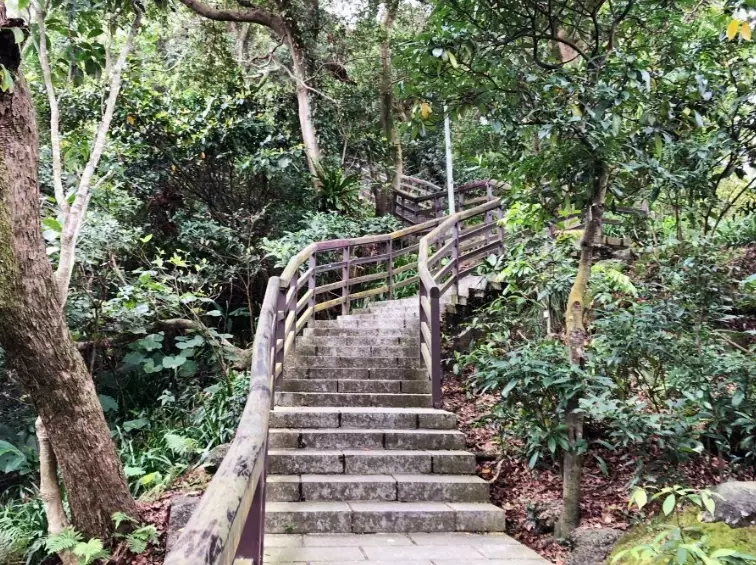 仙跡岩怎麼去