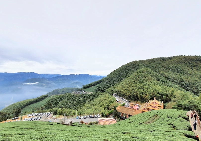 梅山茶園步道