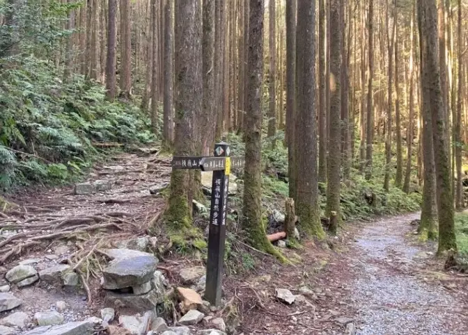 橫嶺山替代步道