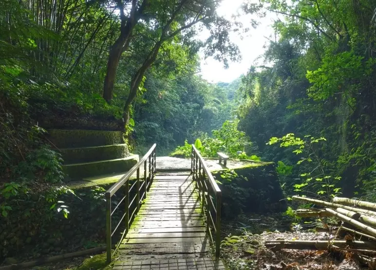 龍過脈森林步道 地址