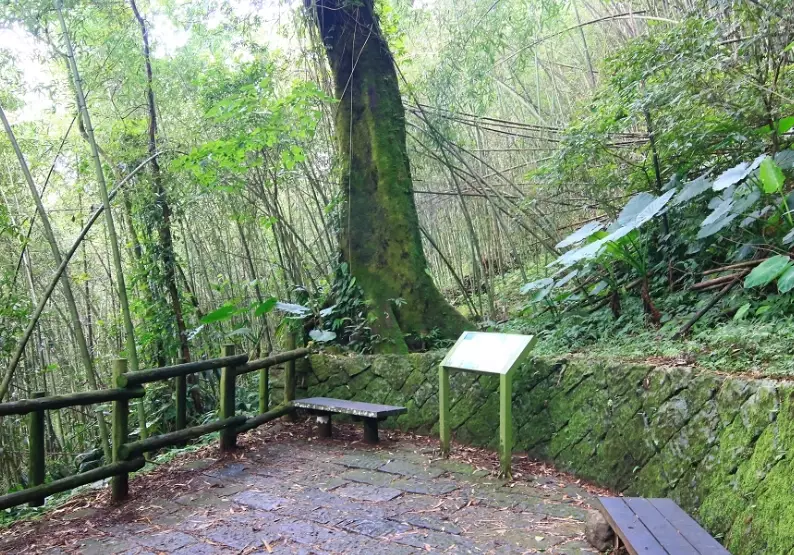 迷糊步道怎么去