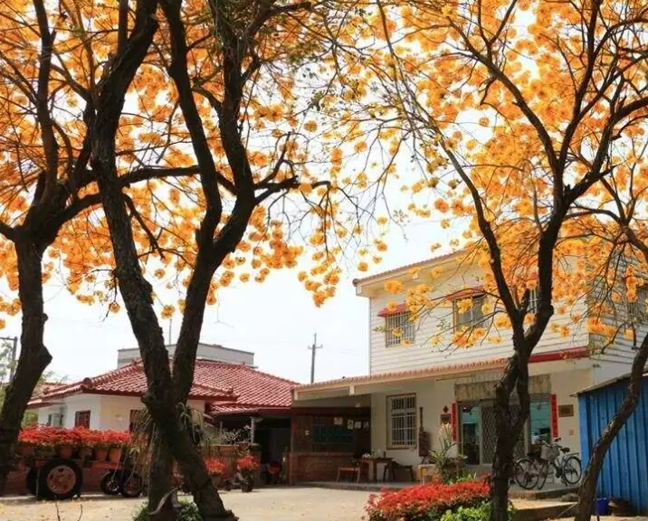 西港一日遊