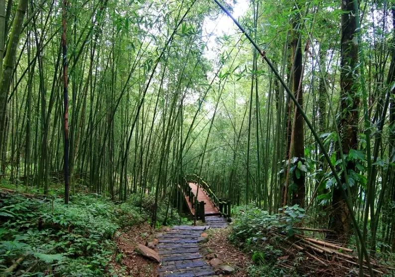 迷糊步道停车场