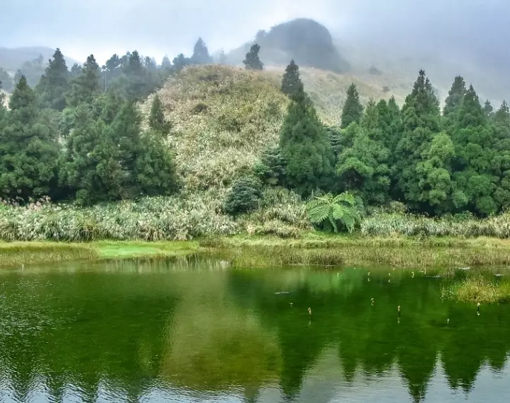 七星山登山步道