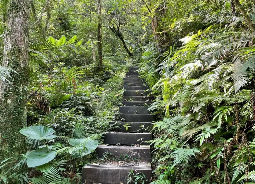 加九寮步道替代路線