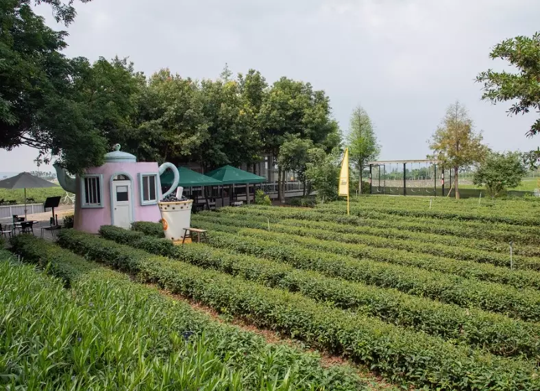 南投名間景點