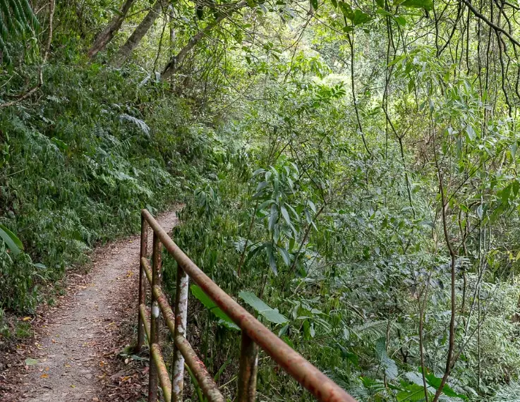 親子健行步道