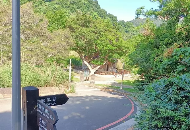 龍鳳谷交通