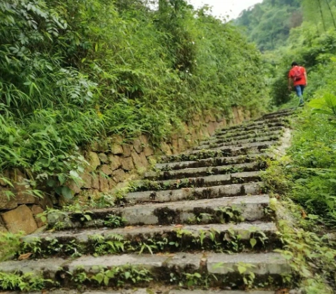 虎山步道怎麼去