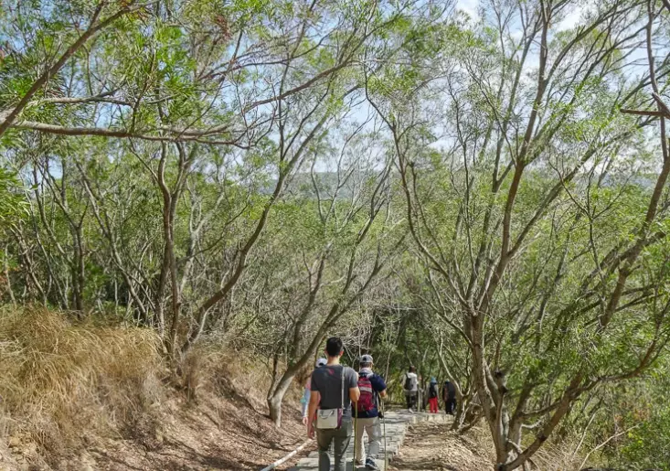 台中登山路線