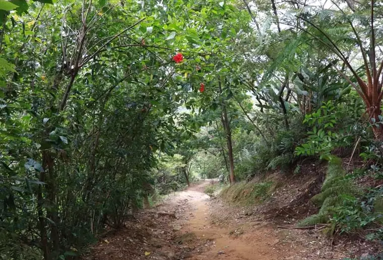 台北登山替代路線