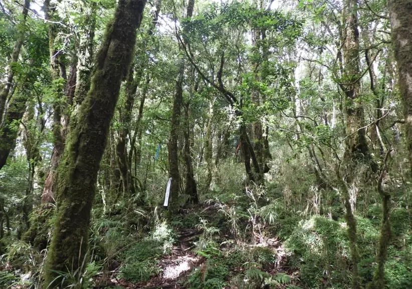 台東登山秘境