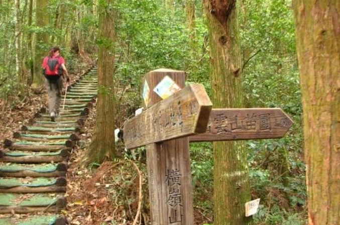 橫嶺山步道封閉