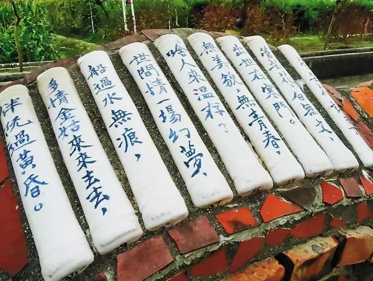 西港花旗木