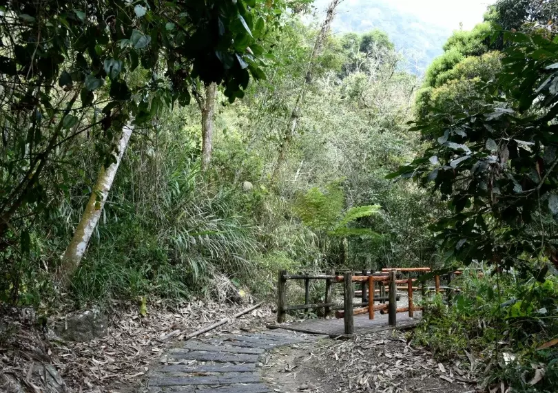 迷糊步道怎么去