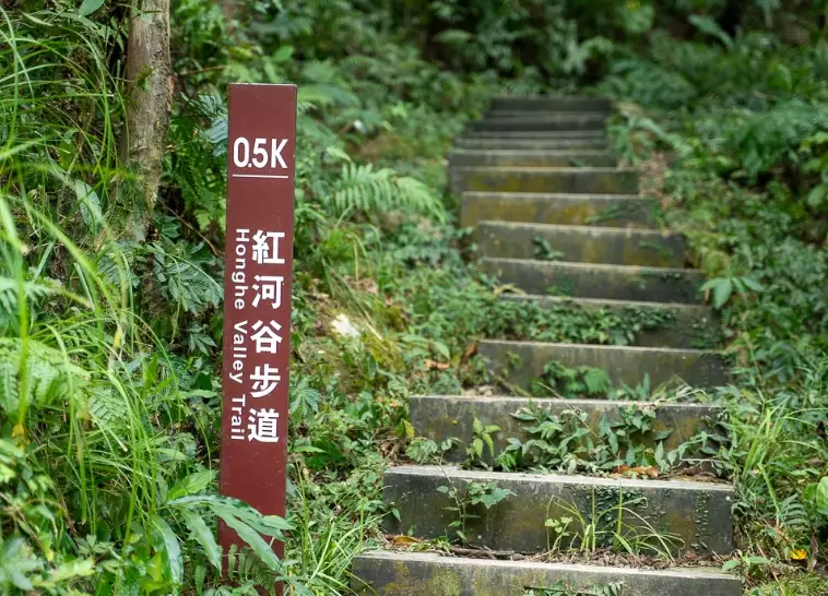 烏來步道