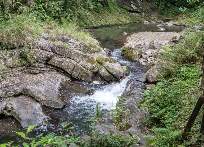 金瓜寮魚蕨步道