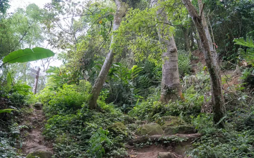 小粗坑古道
