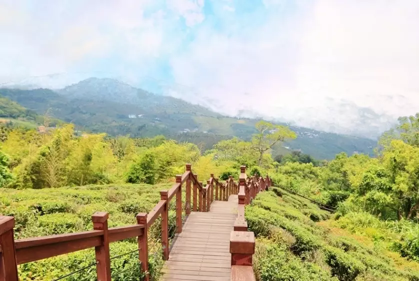 嘉義梅山景點