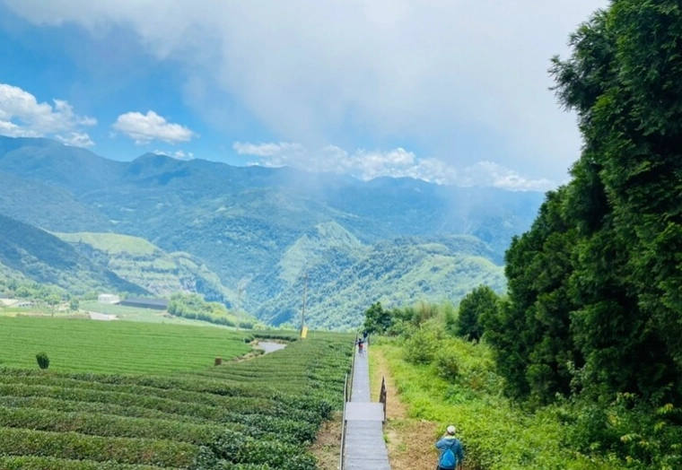 阿里山日出