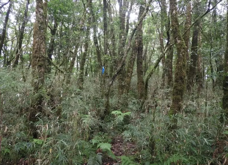 台東登山秘境