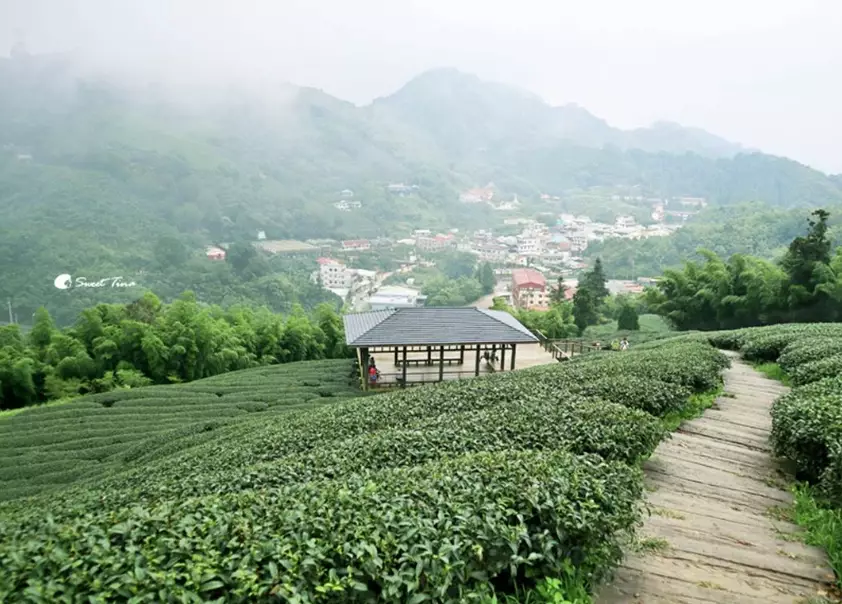 嘉義梅山景點