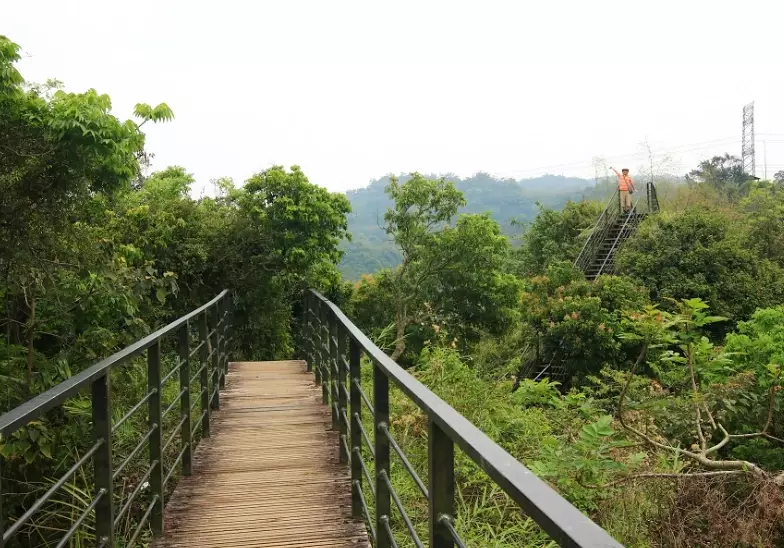 龍過脈森林步道 地址