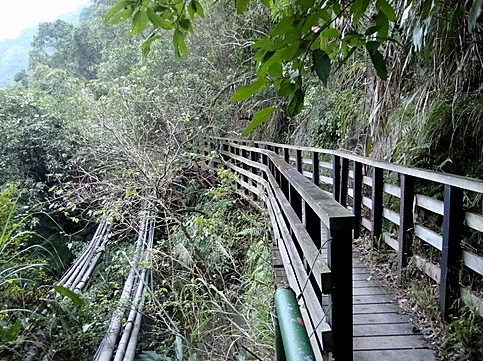 加九寮步道替代路線