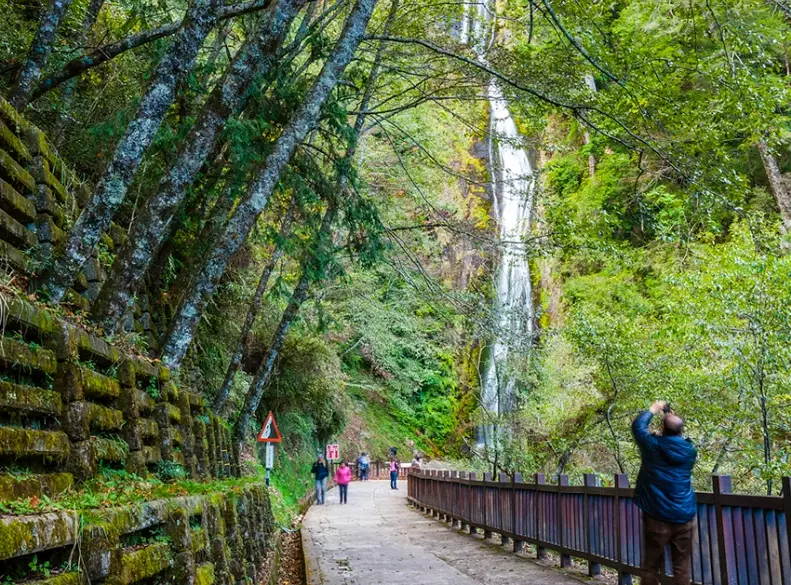 桃山步道交通