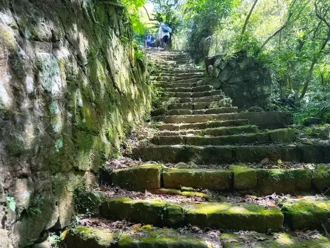 瑞芳 健行 步道