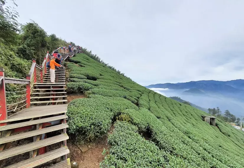 嘉義梅山景點