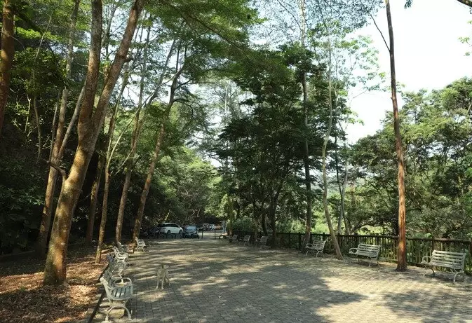 南投名間景點