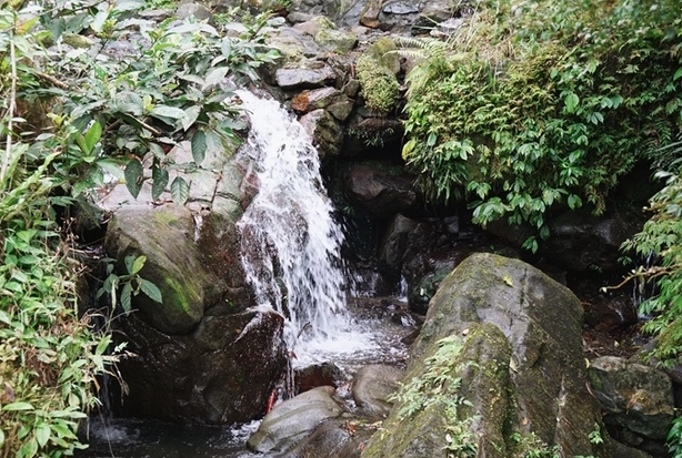 自然景觀旅遊