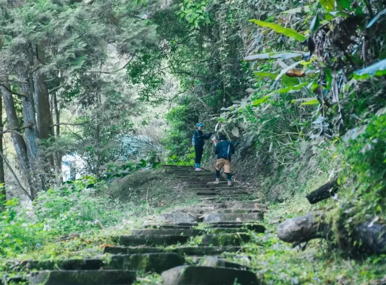 水社大山替代路線