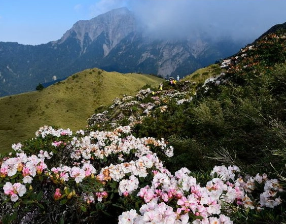 奇萊山步道
