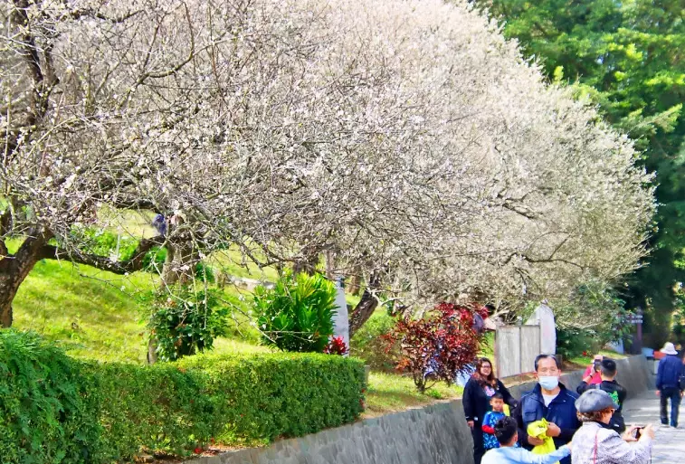 空氣圖書館 附近 景點
