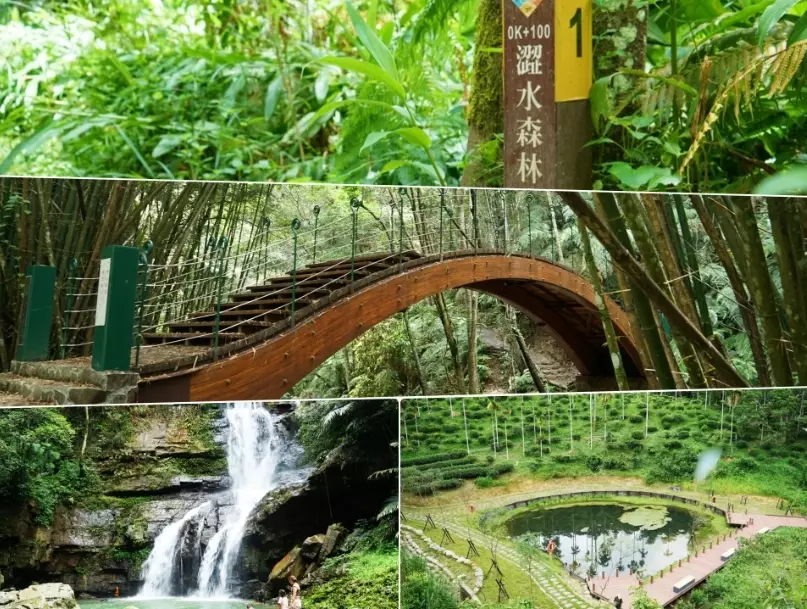 澀水森林步道 公車路線