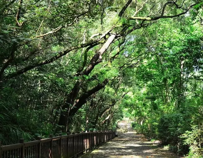 田中森林公園步道
