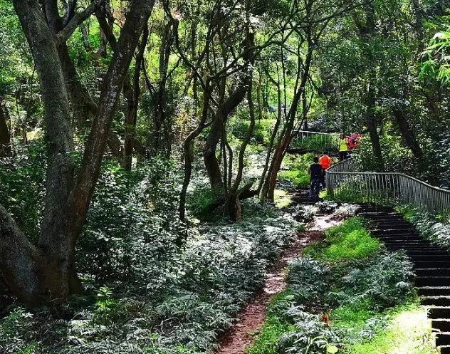 田中森林公園步道